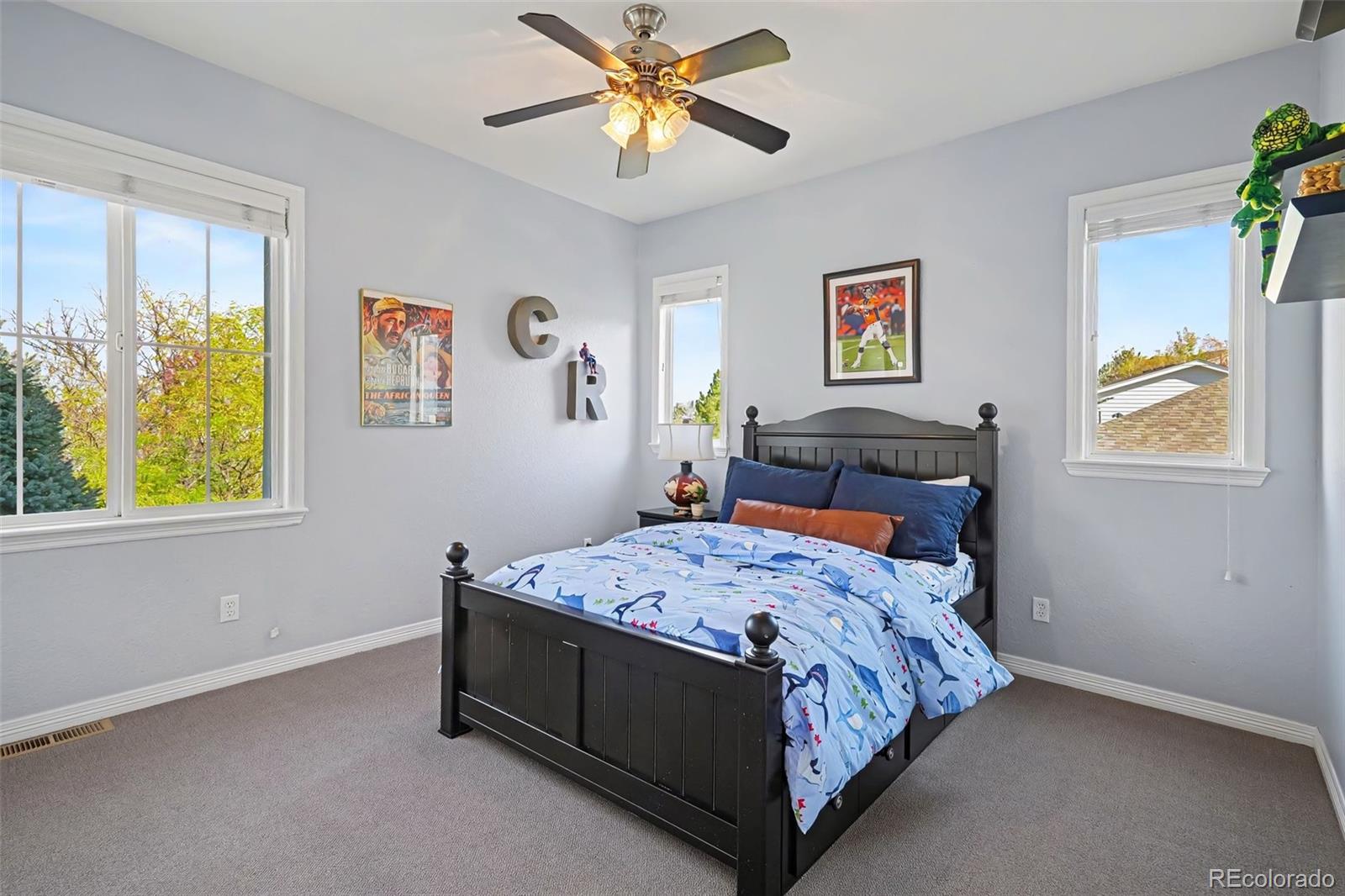 MLS Image #22 for 2554  pemberly avenue,highlands ranch, Colorado