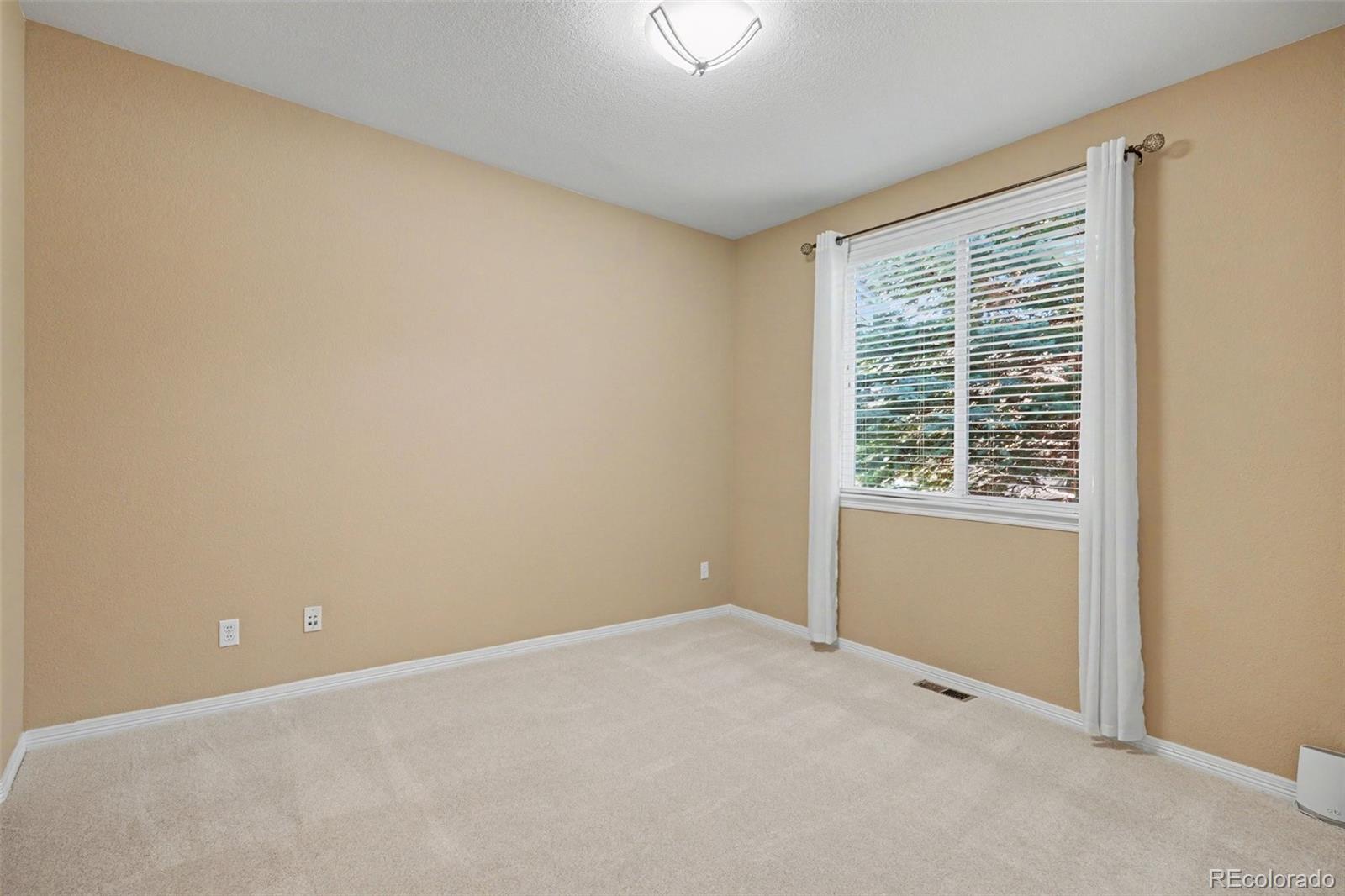 MLS Image #29 for 2554  pemberly avenue,highlands ranch, Colorado