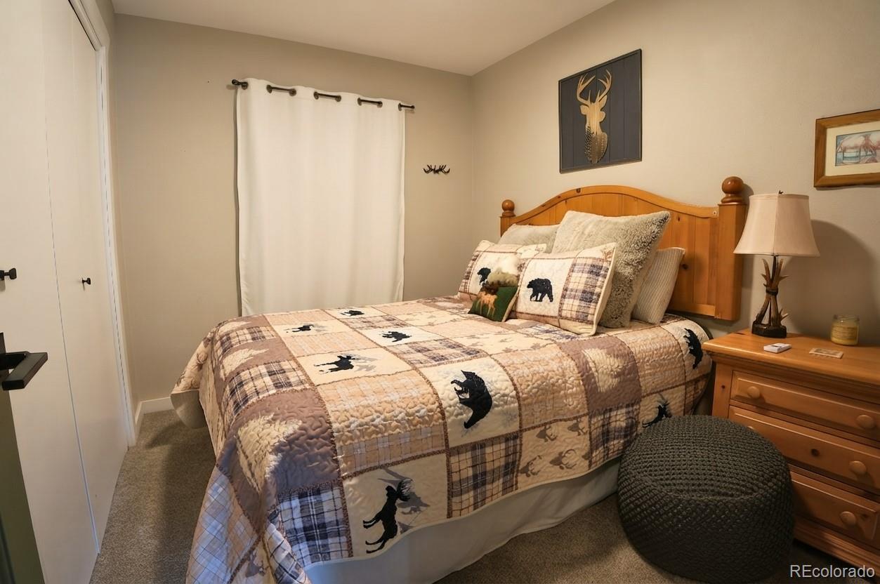 MLS Image #15 for 51  copper mountain road,cripple creek, Colorado