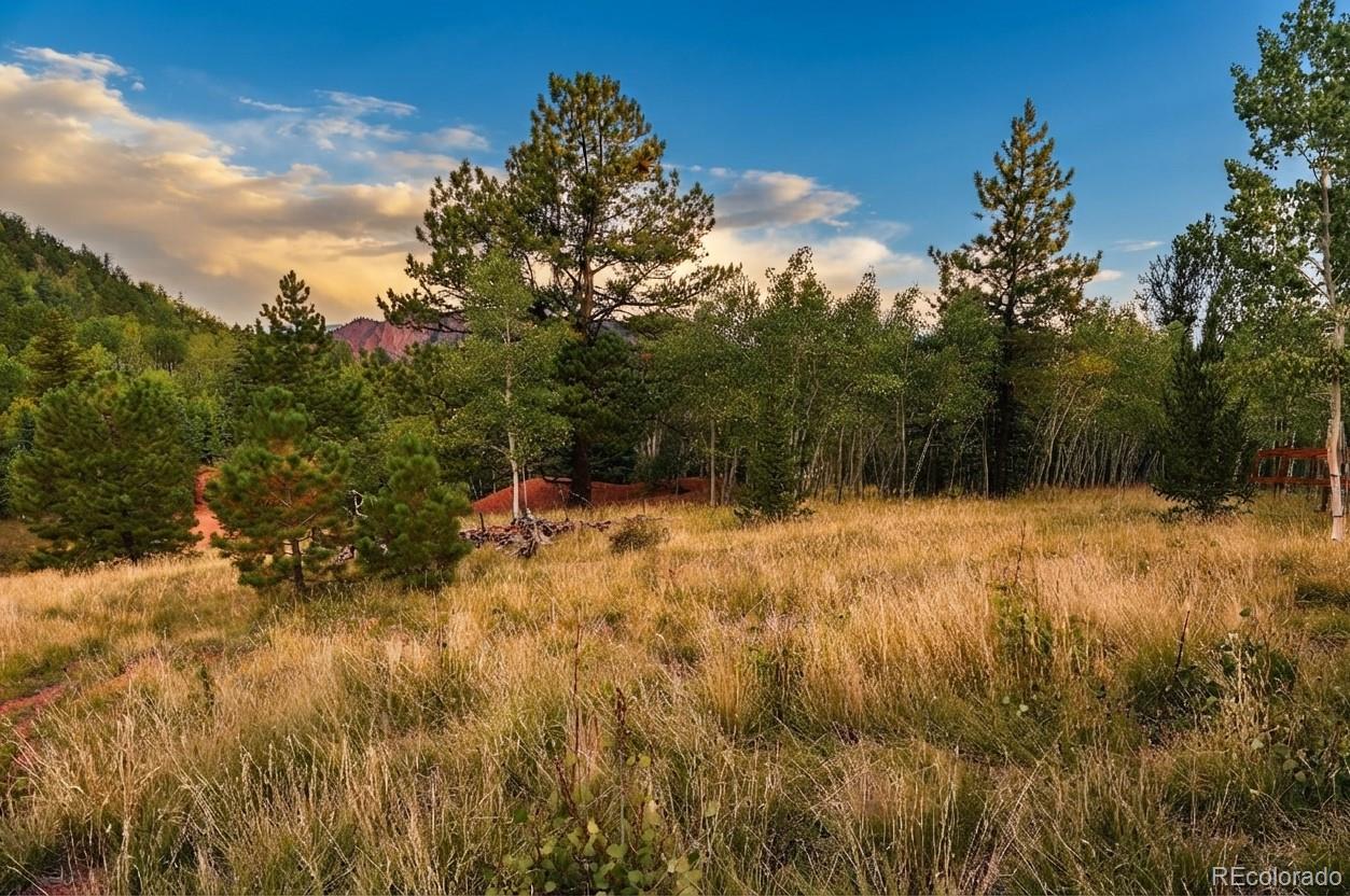 MLS Image #45 for 51  copper mountain road,cripple creek, Colorado