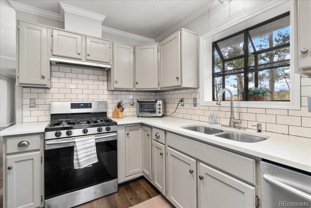 MLS Image #11 for 271  sheep ridge road,fairplay, Colorado