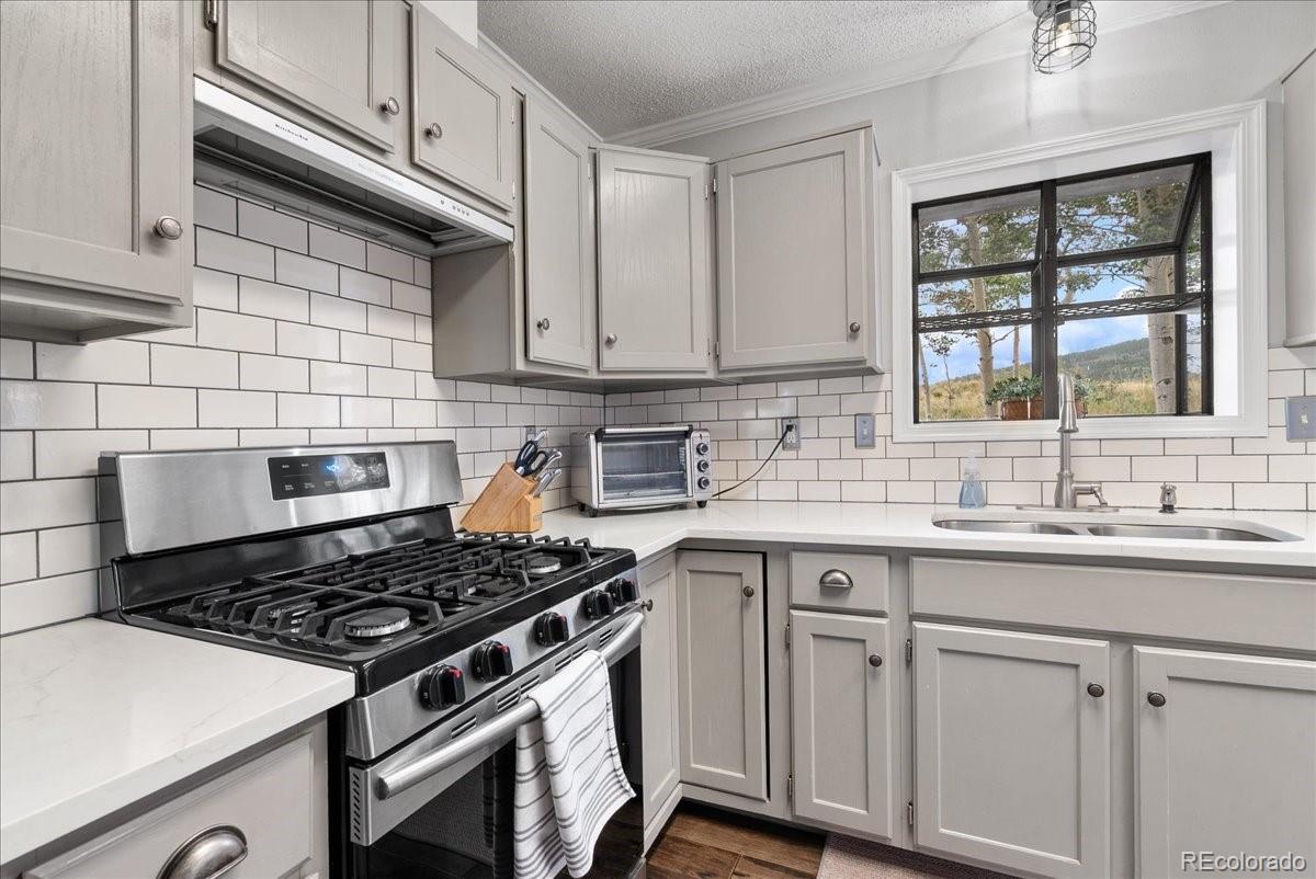 MLS Image #12 for 271  sheep ridge road,fairplay, Colorado
