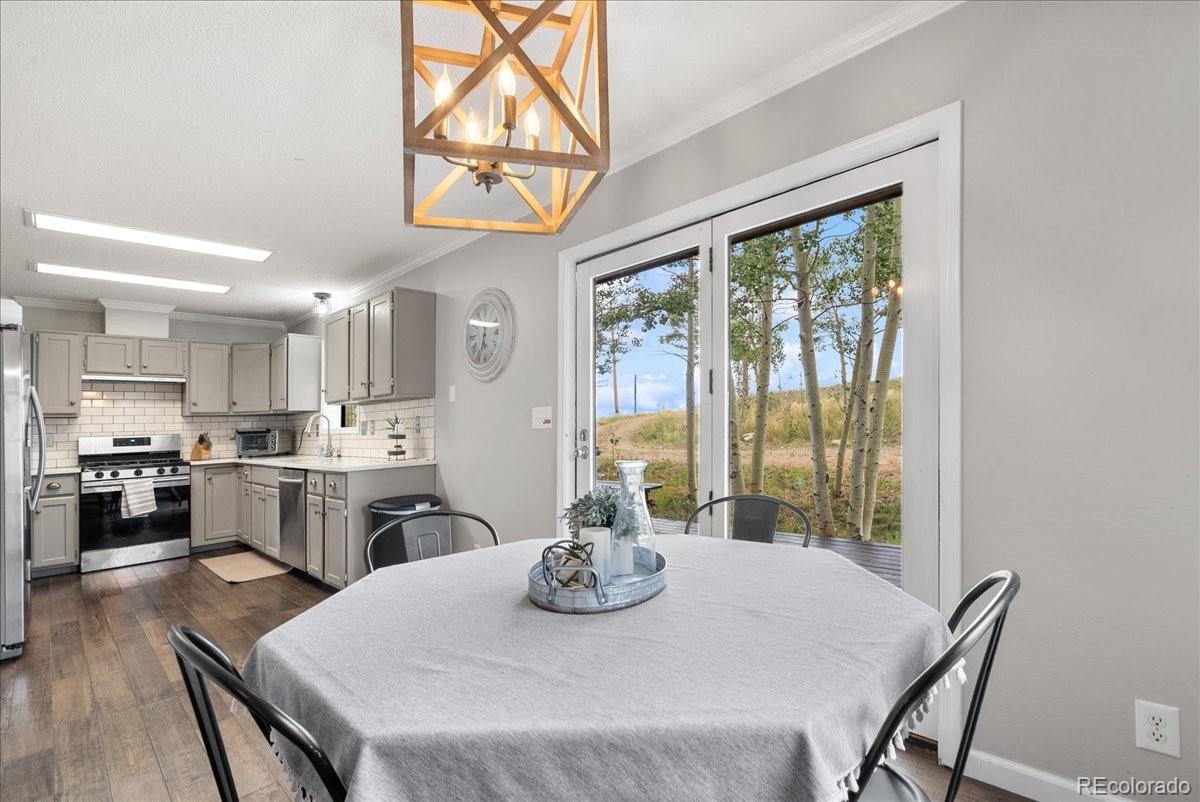 MLS Image #13 for 271  sheep ridge road,fairplay, Colorado