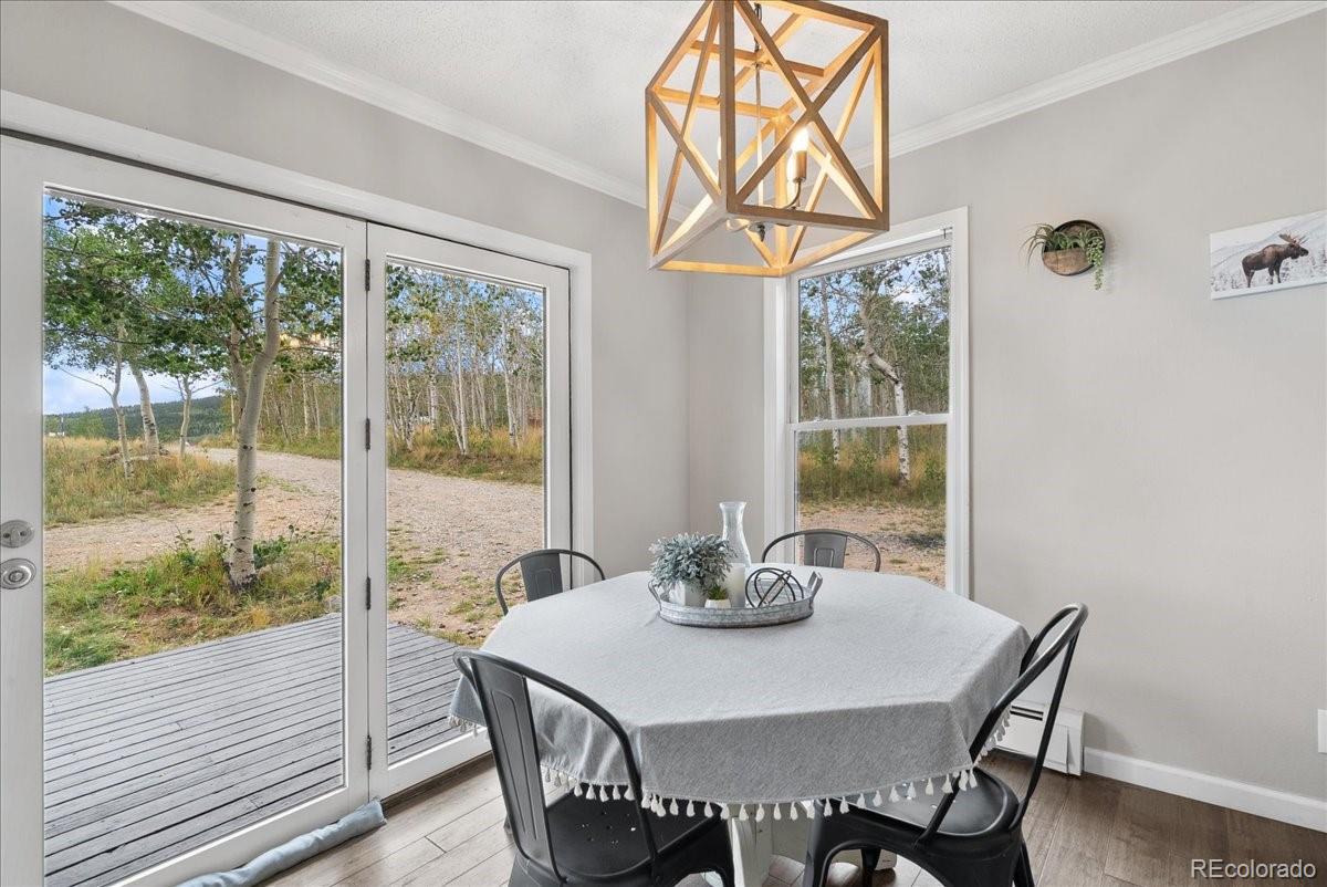 MLS Image #14 for 271  sheep ridge road,fairplay, Colorado