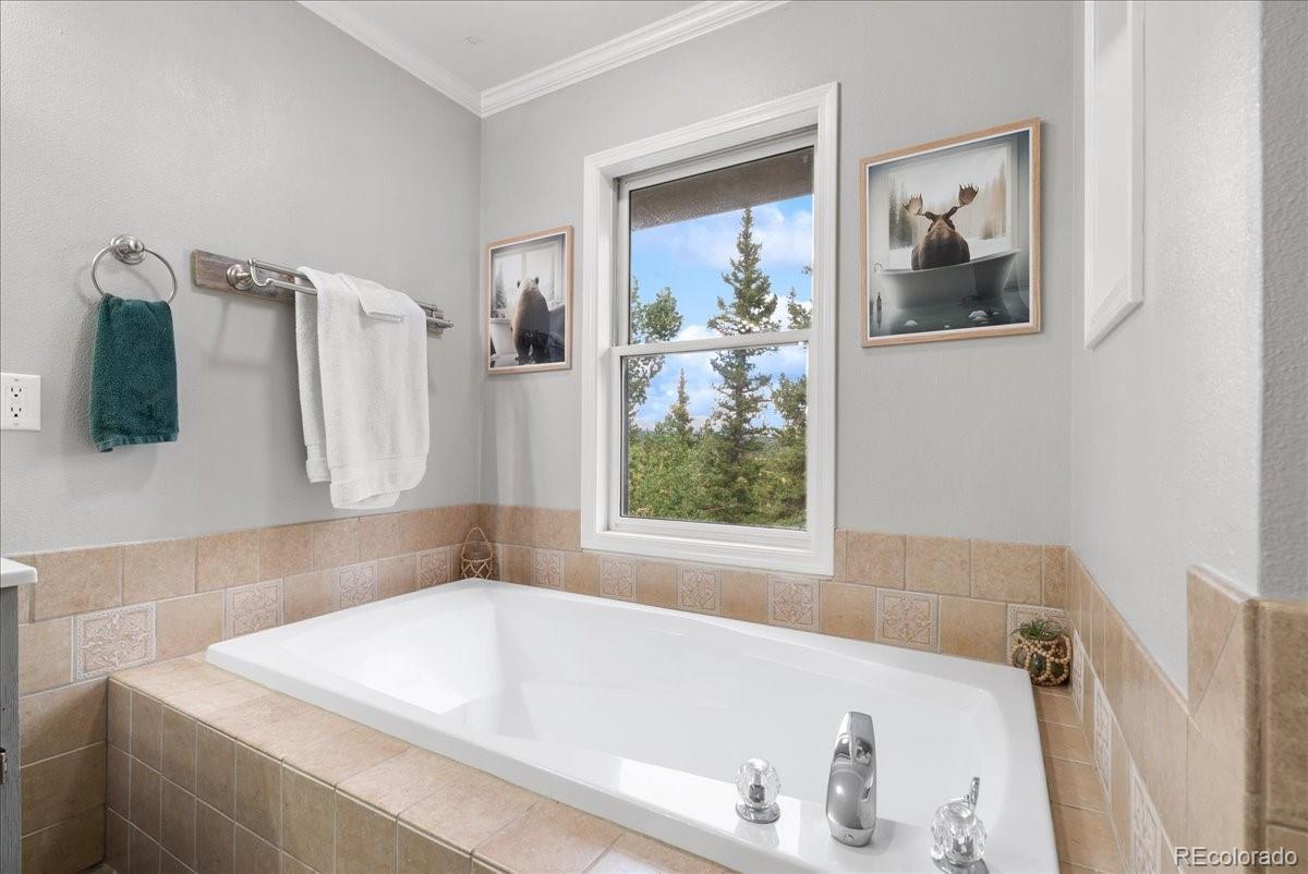 MLS Image #19 for 271  sheep ridge road,fairplay, Colorado