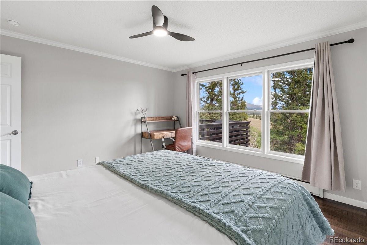 MLS Image #22 for 271  sheep ridge road,fairplay, Colorado