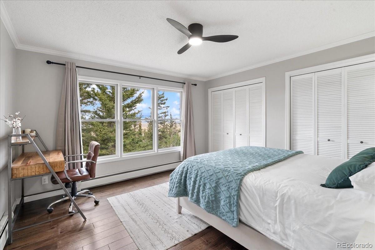 MLS Image #23 for 271  sheep ridge road,fairplay, Colorado