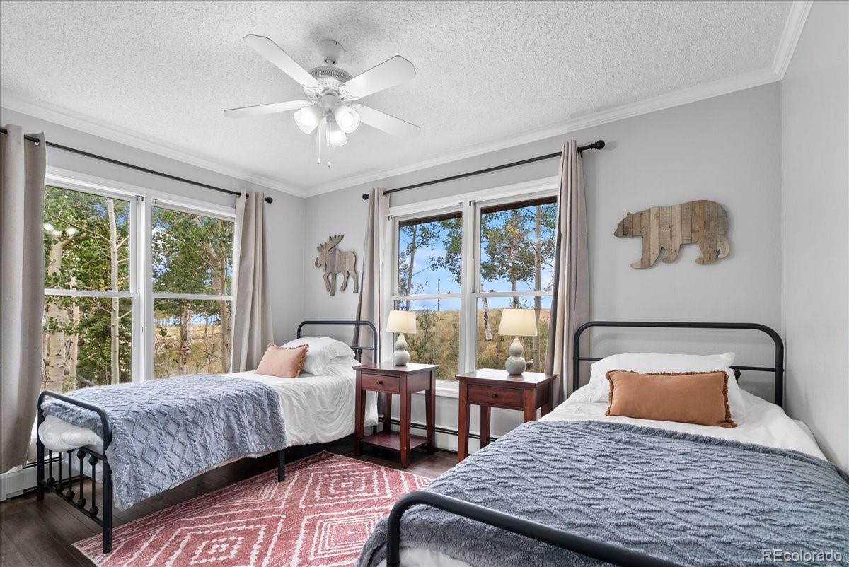 MLS Image #25 for 271  sheep ridge road,fairplay, Colorado