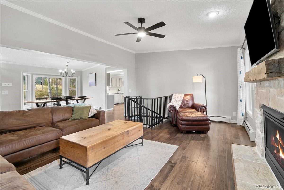 MLS Image #4 for 271  sheep ridge road,fairplay, Colorado