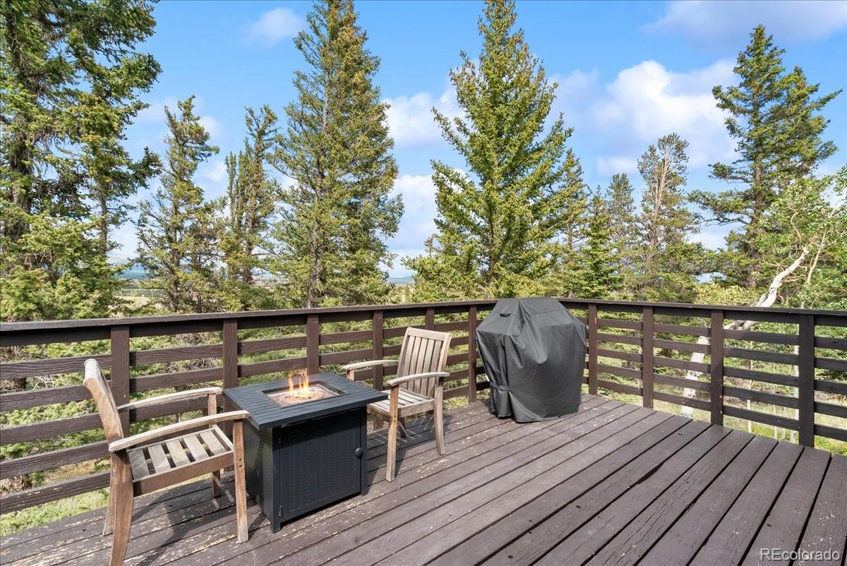 MLS Image #43 for 271  sheep ridge road,fairplay, Colorado
