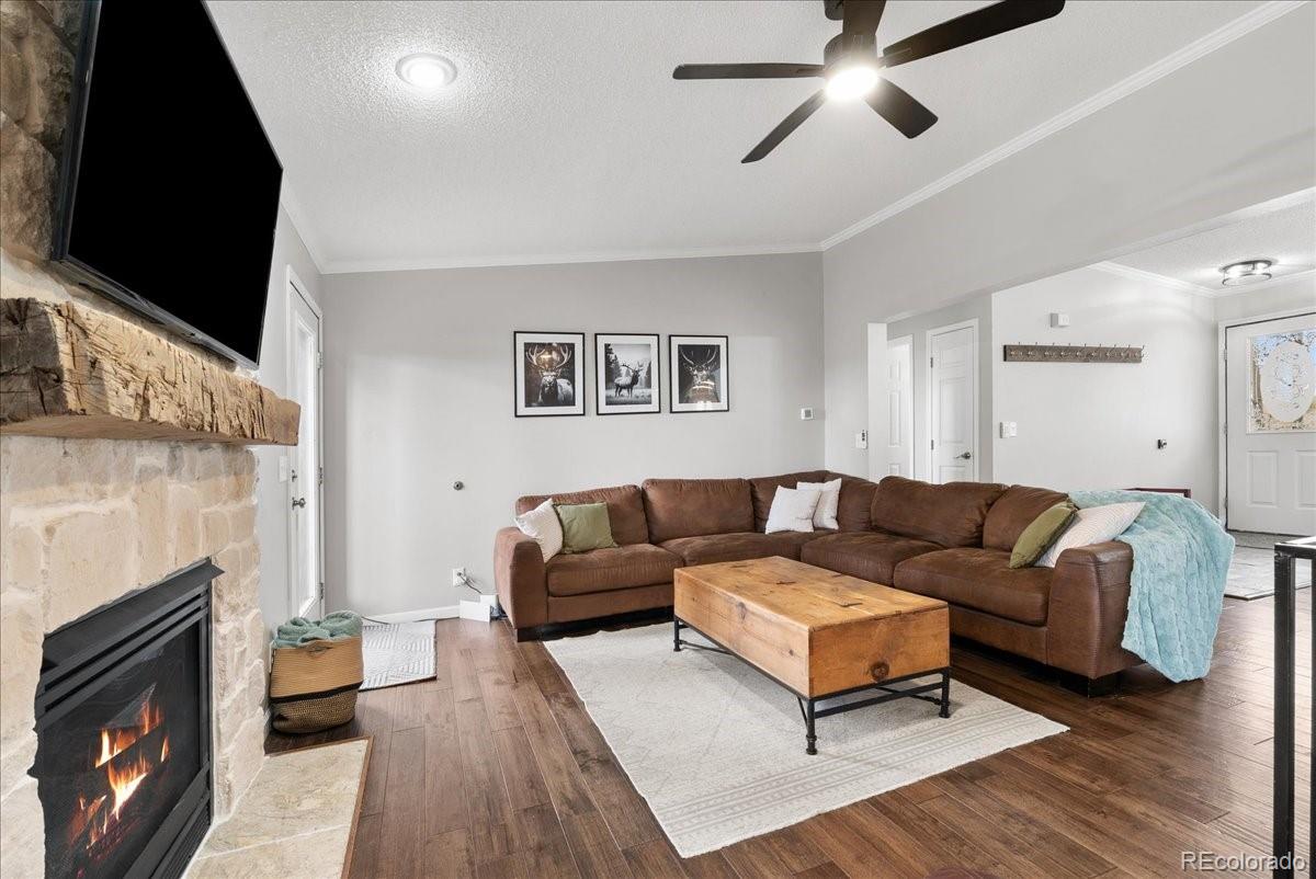 MLS Image #5 for 271  sheep ridge road,fairplay, Colorado