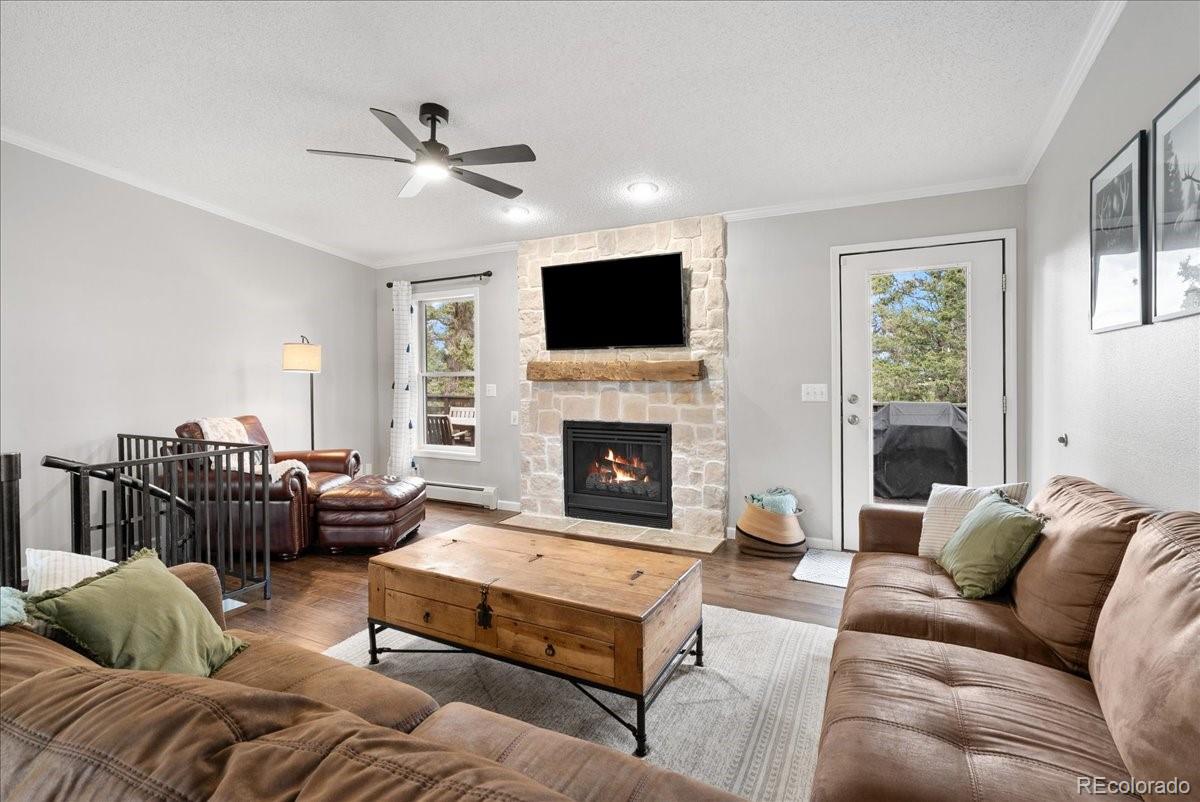 MLS Image #6 for 271  sheep ridge road,fairplay, Colorado