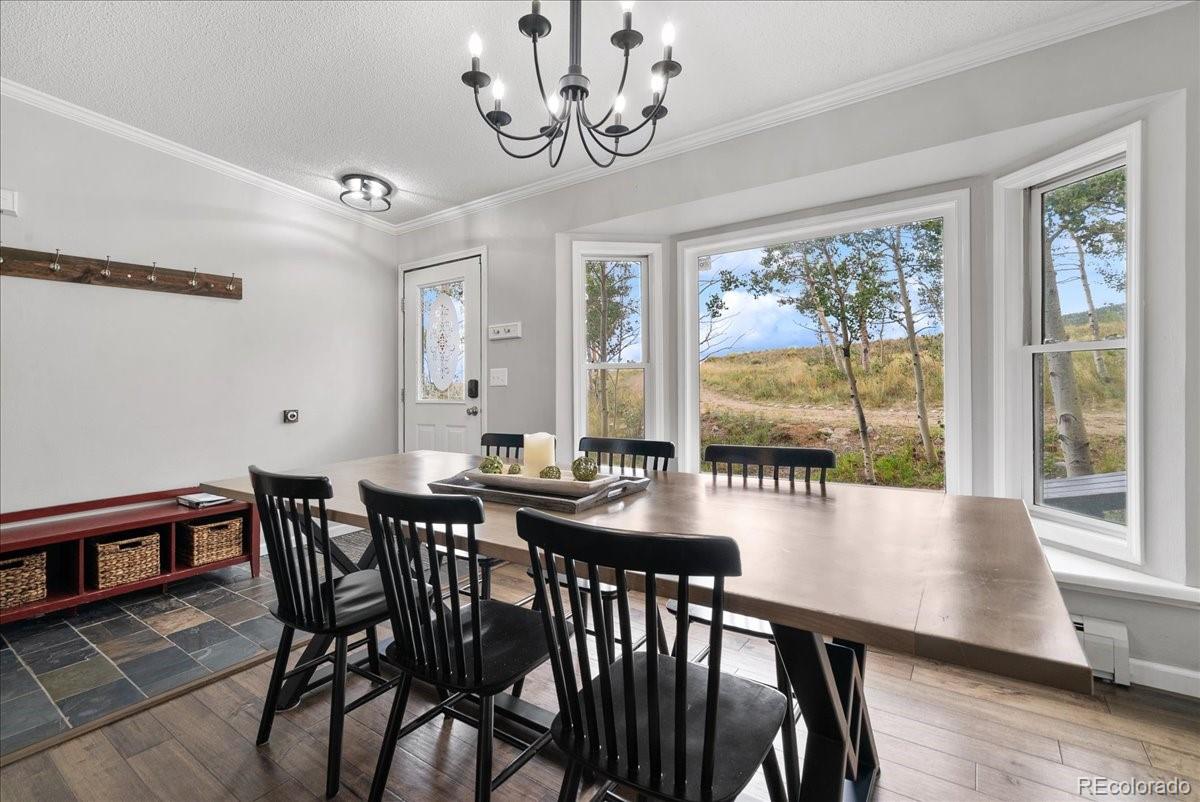 MLS Image #8 for 271  sheep ridge road,fairplay, Colorado