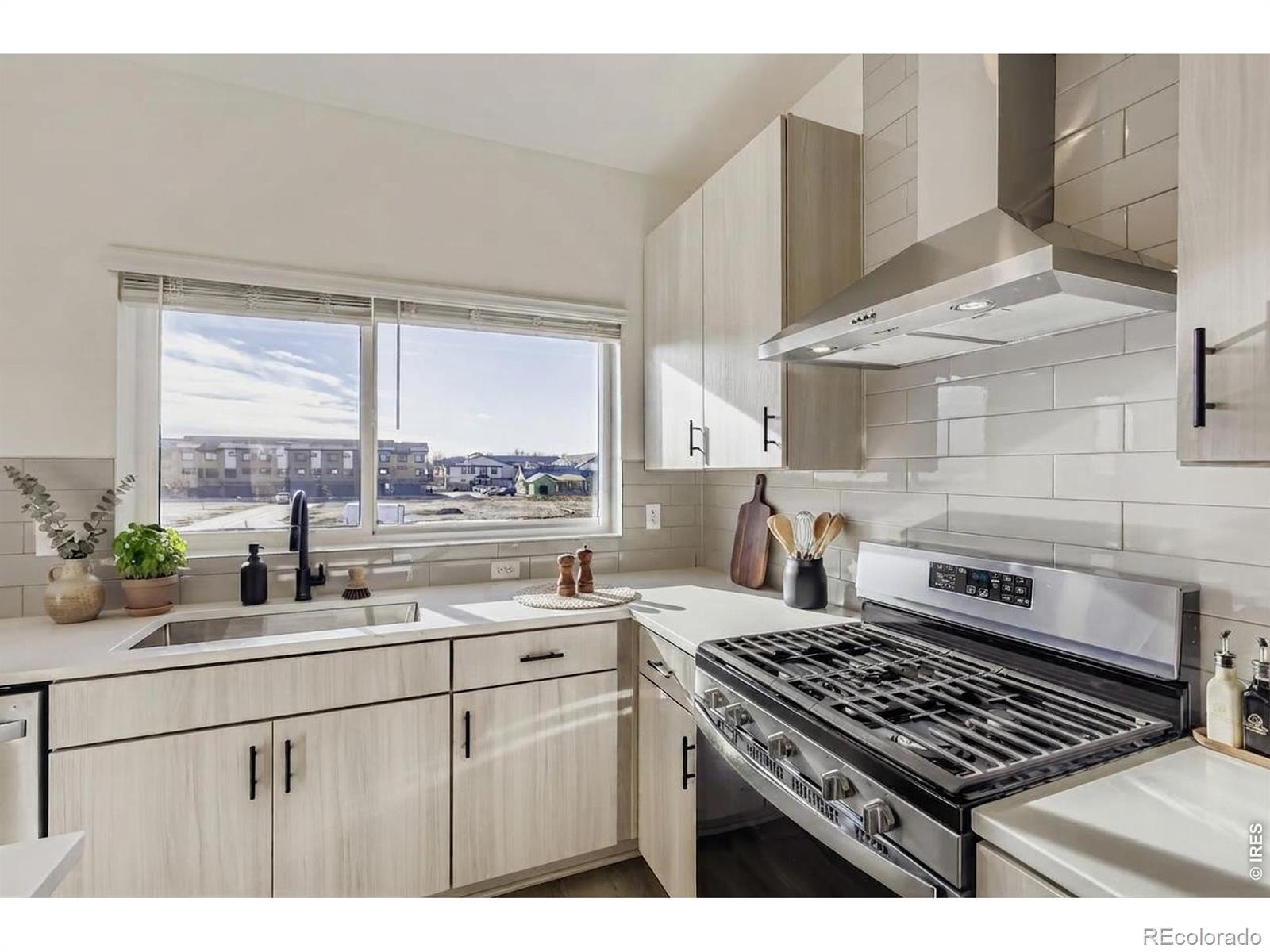 MLS Image #6 for 1003  schlagel street,fort collins, Colorado