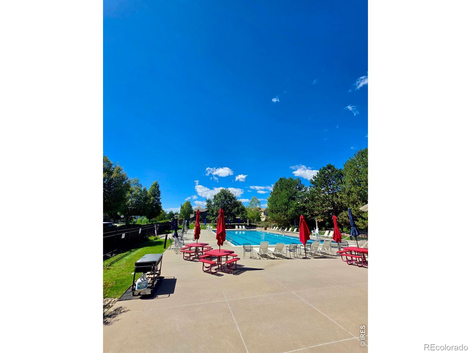 MLS Image #7 for 518  ramah drive,fort collins, Colorado