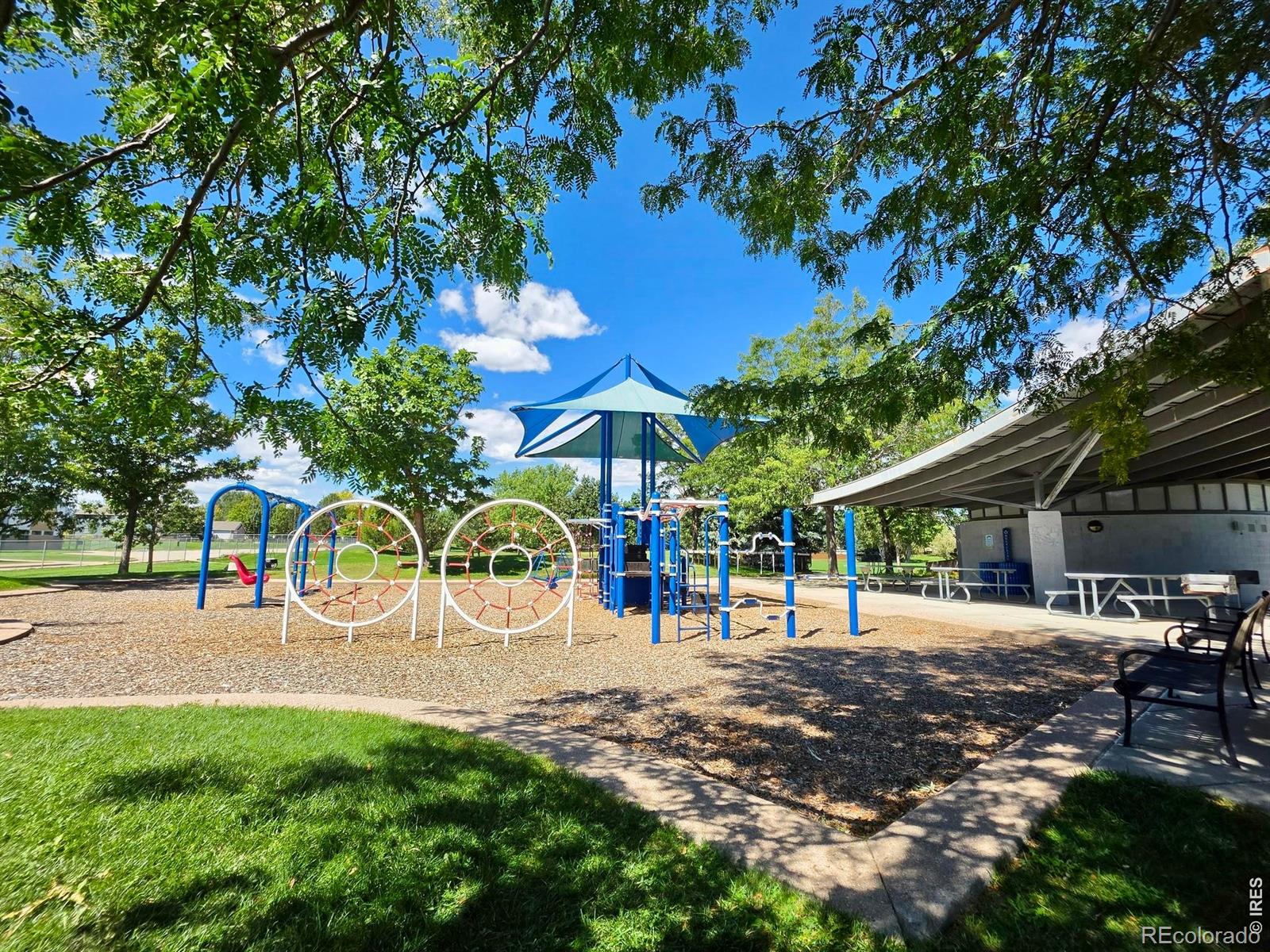 MLS Image #8 for 518  ramah drive,fort collins, Colorado