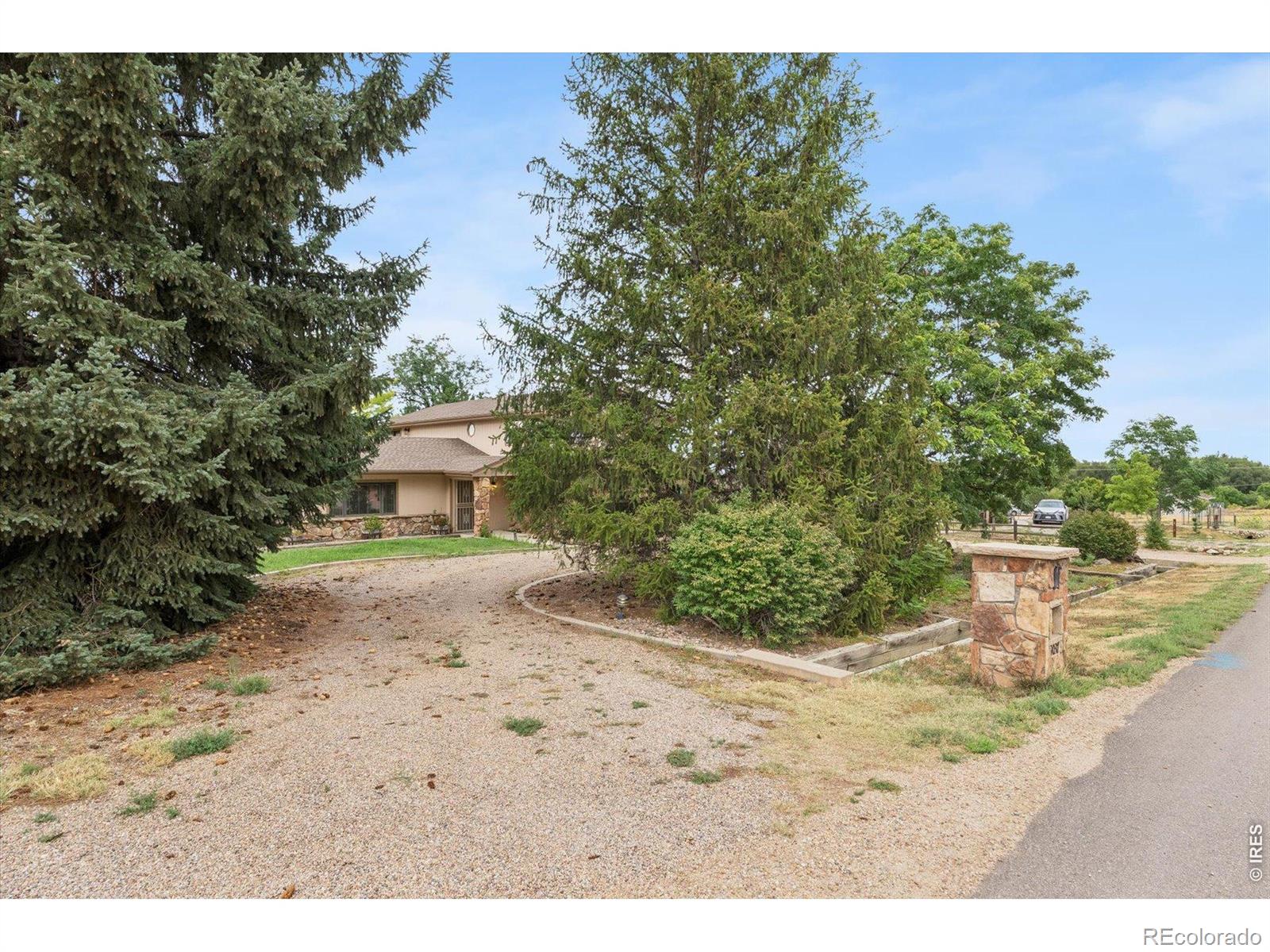 MLS Image #3 for 9037  morton road,longmont, Colorado