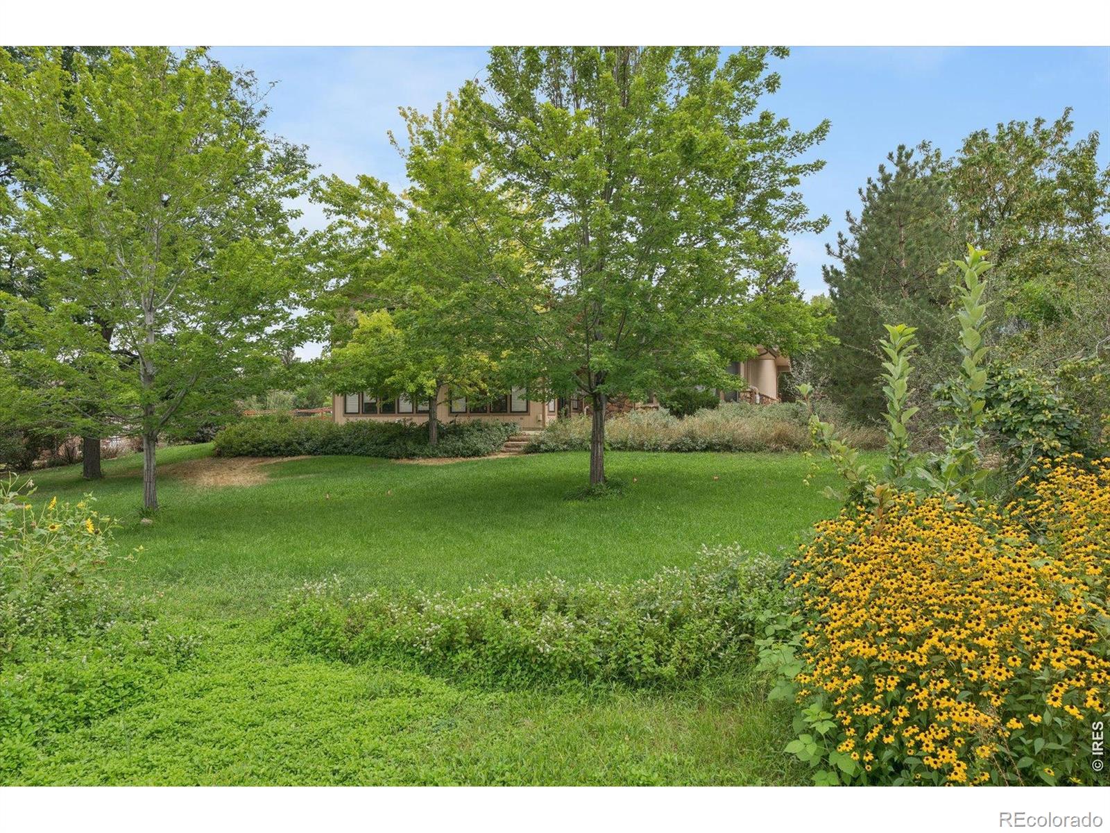 MLS Image #37 for 9037  morton road,longmont, Colorado