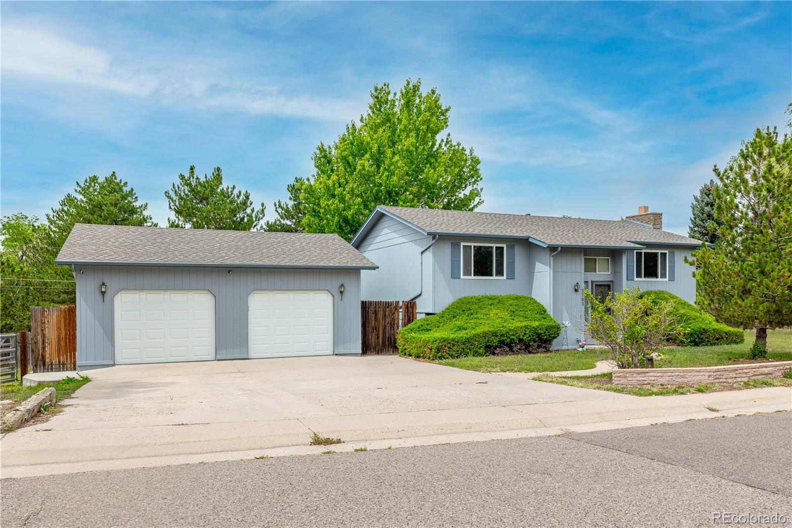 MLS Image #1 for 3705  betty street,castle rock, Colorado
