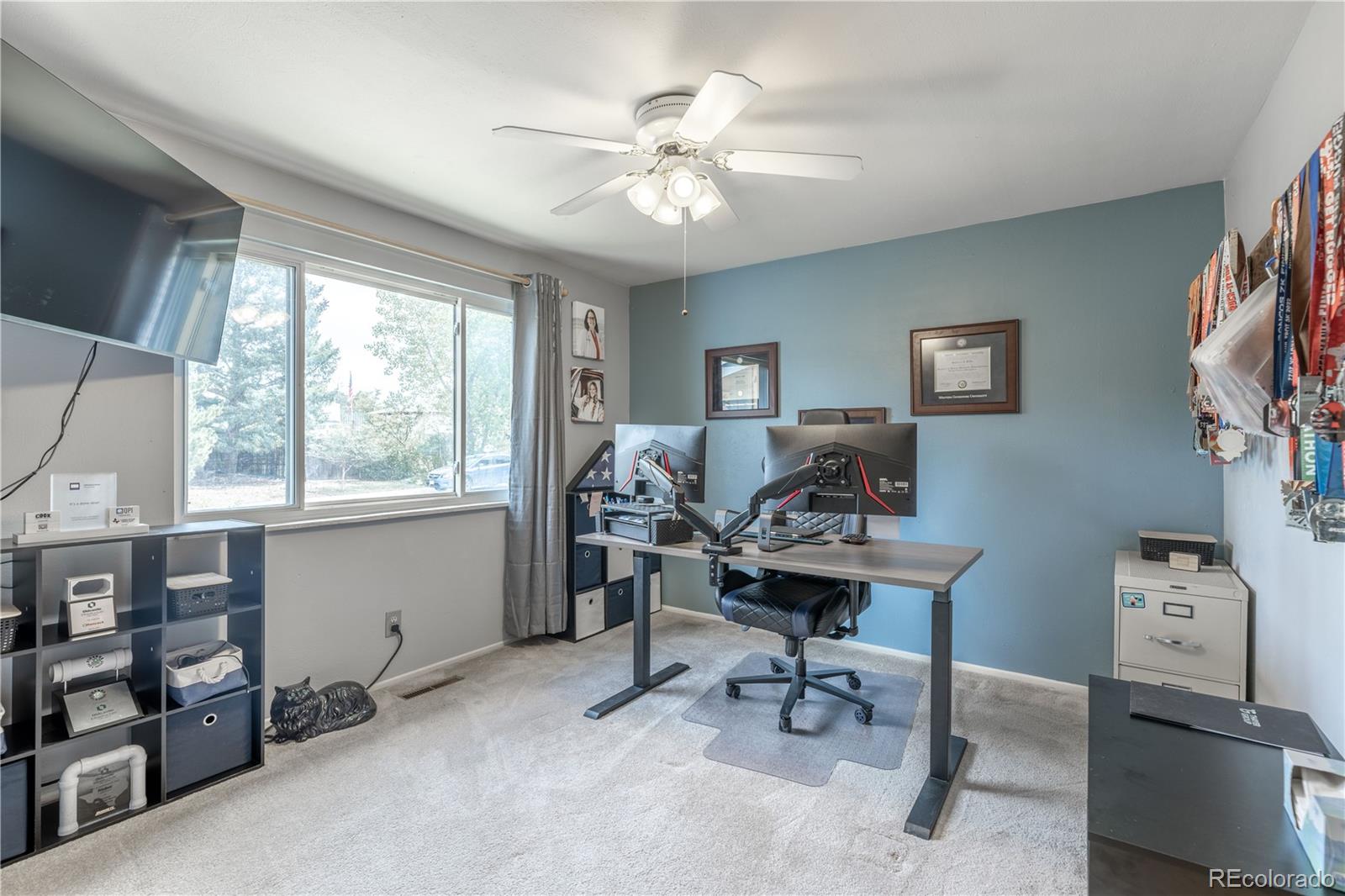 MLS Image #12 for 3705  betty street,castle rock, Colorado
