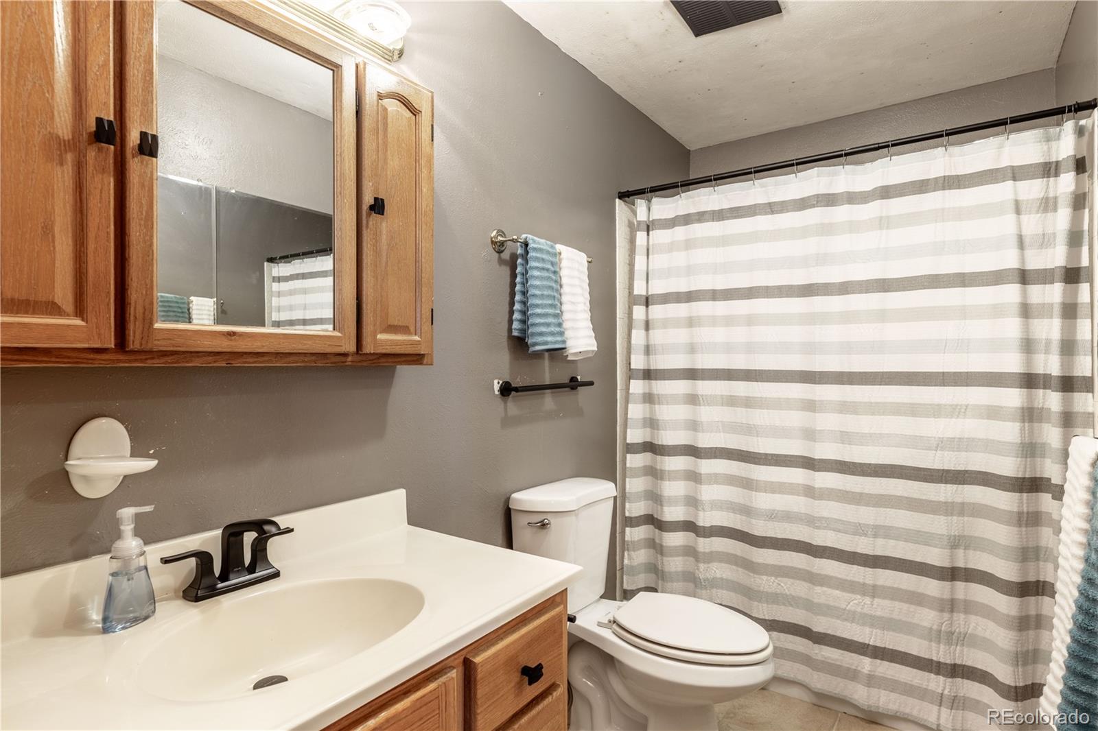 MLS Image #13 for 3705  betty street,castle rock, Colorado
