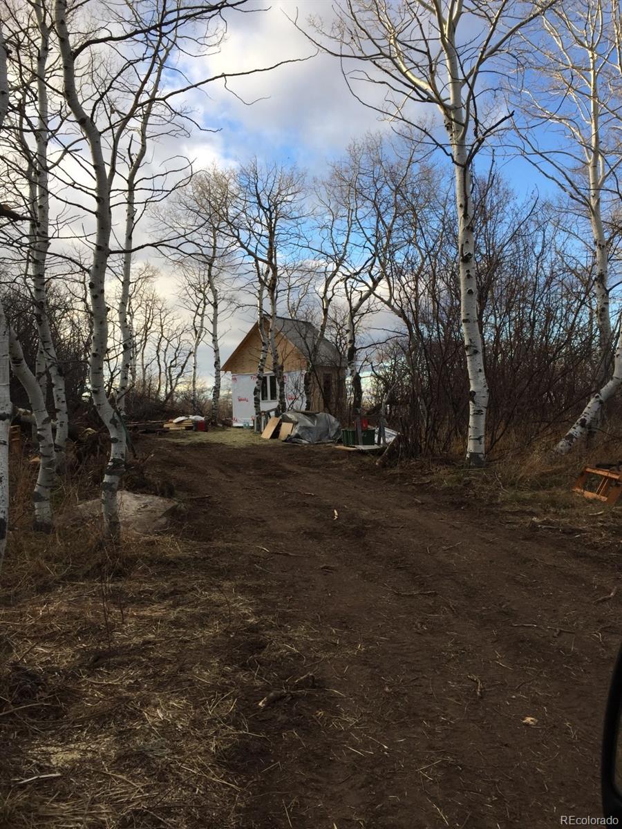 MLS Image #10 for 50  fiddleneck drive,craig, Colorado