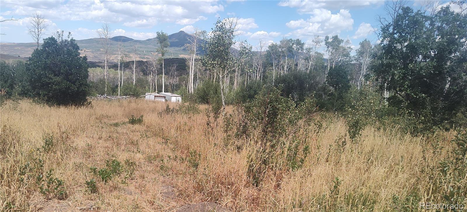 MLS Image #21 for 50  fiddleneck drive,craig, Colorado