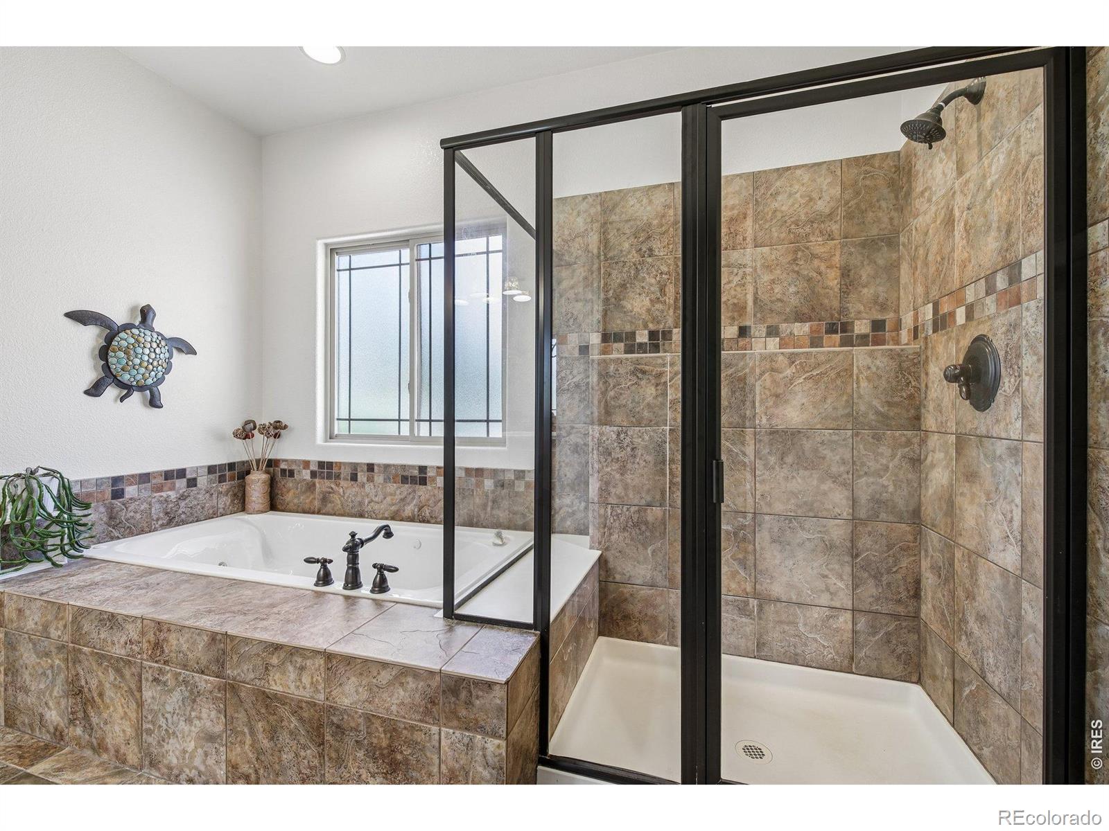 MLS Image #16 for 2143  cape hatteras drive,windsor, Colorado