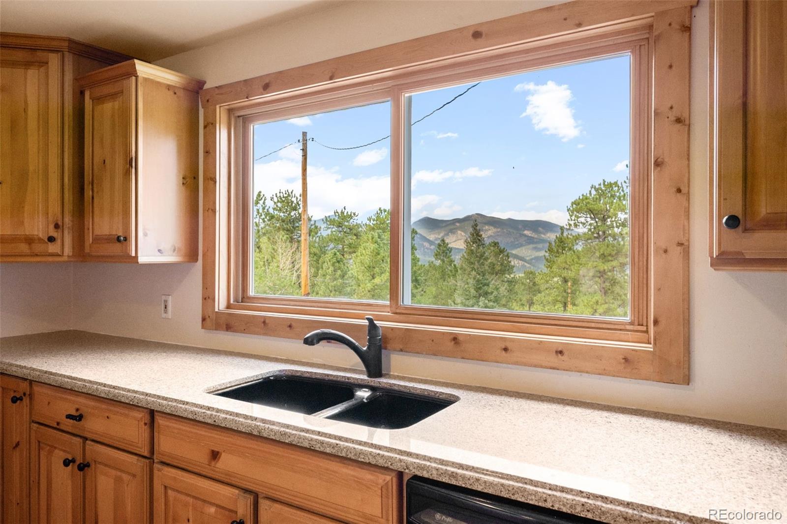 MLS Image #10 for 5784  herzman drive,evergreen, Colorado