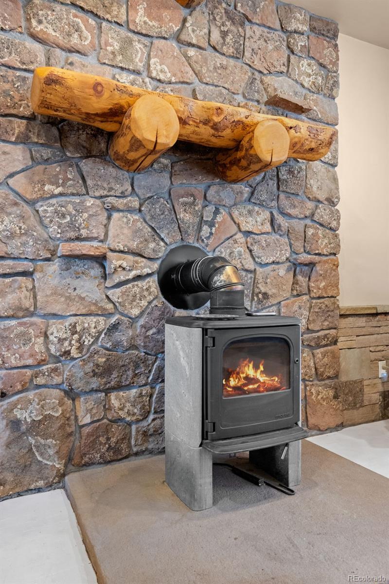 MLS Image #18 for 5784  herzman drive,evergreen, Colorado