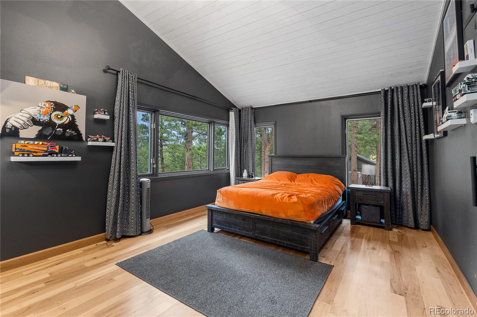 MLS Image #32 for 33077  alta vista drive,evergreen, Colorado