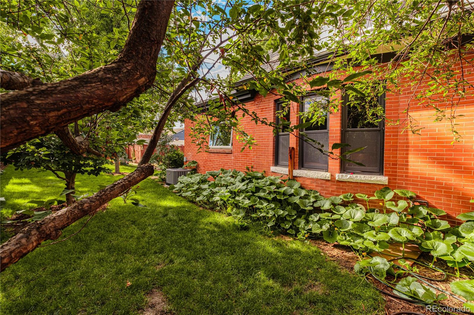 MLS Image #35 for 4581  bryant street,denver, Colorado