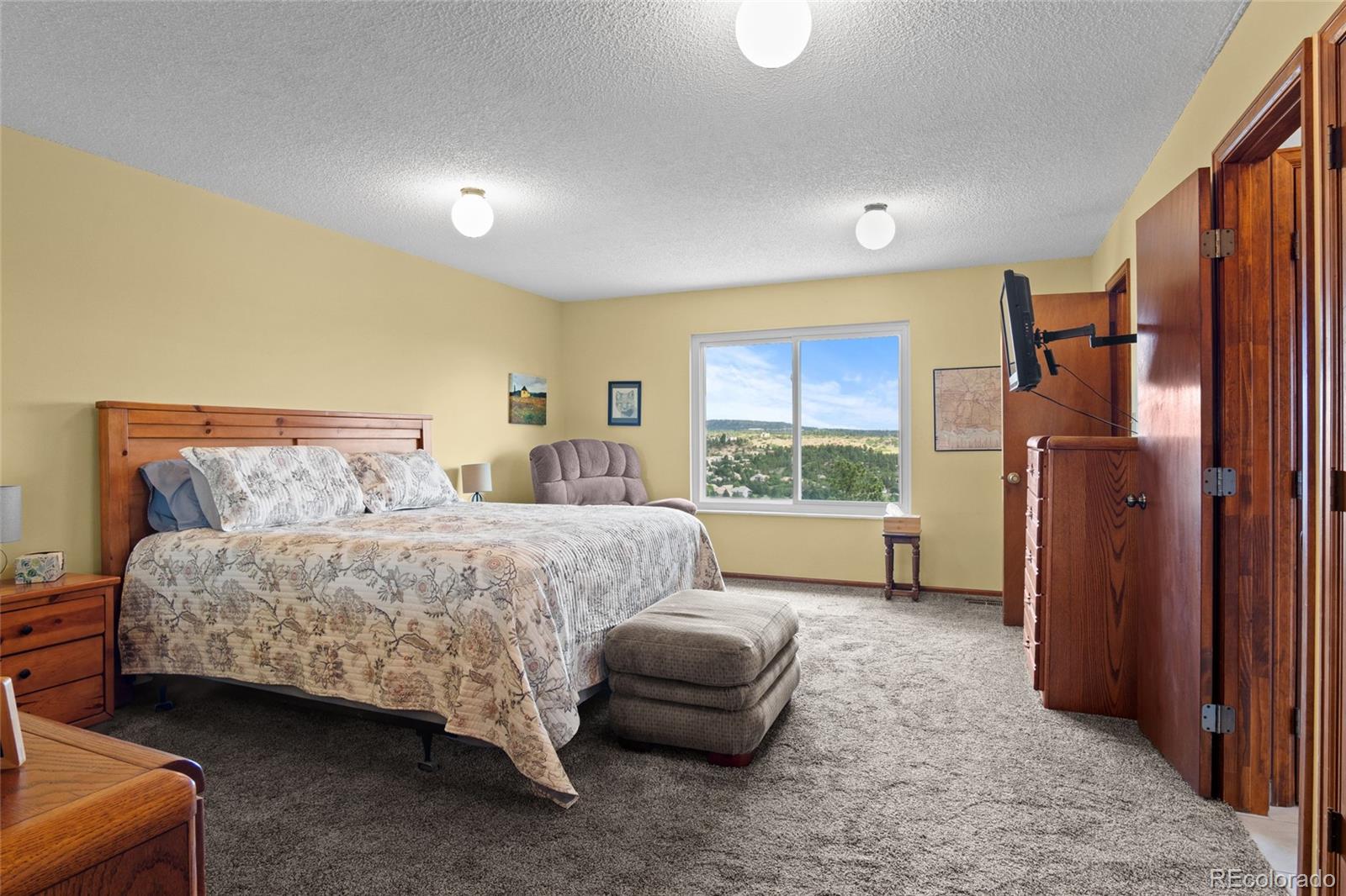MLS Image #17 for 1520  big valley drive,colorado springs, Colorado