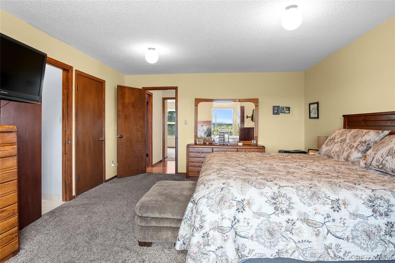 MLS Image #18 for 1520  big valley drive,colorado springs, Colorado