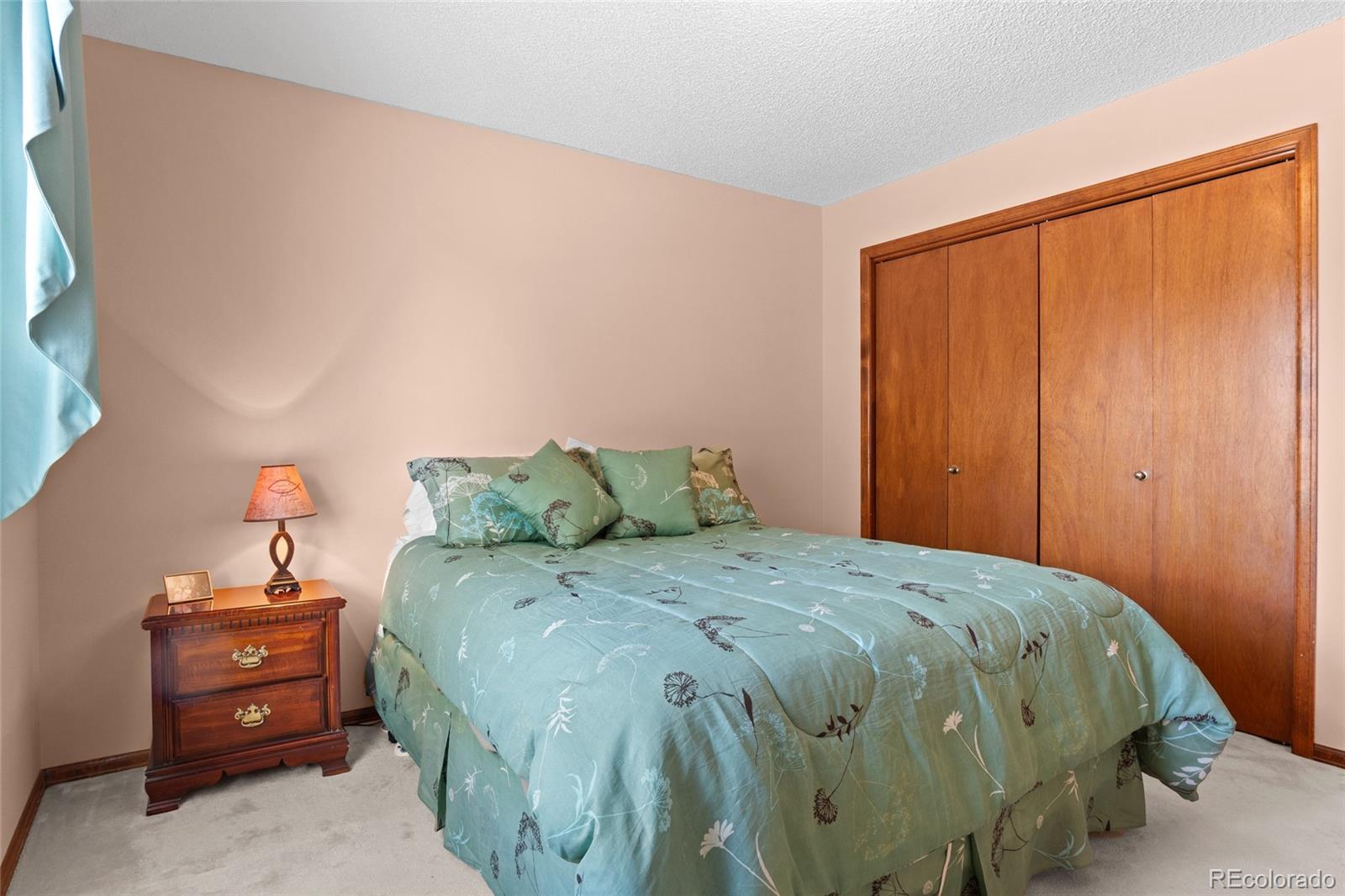 MLS Image #26 for 1520  big valley drive,colorado springs, Colorado