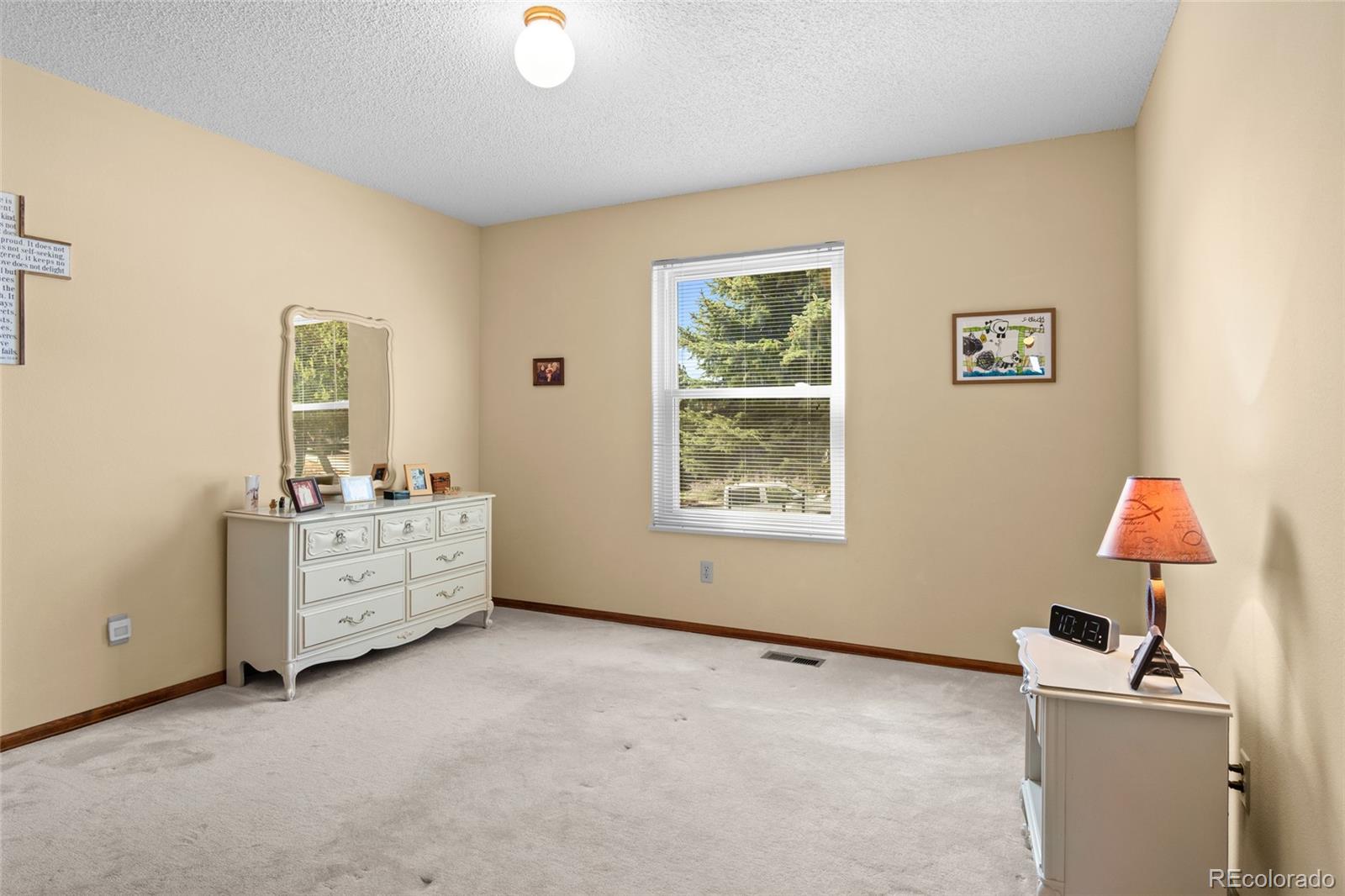 MLS Image #27 for 1520  big valley drive,colorado springs, Colorado