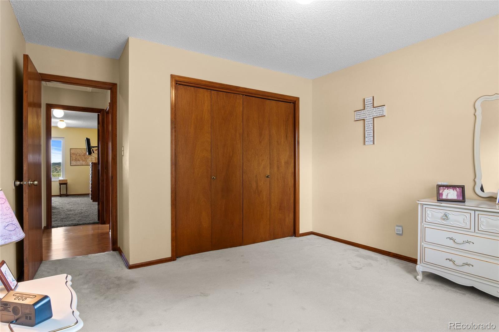 MLS Image #28 for 1520  big valley drive,colorado springs, Colorado