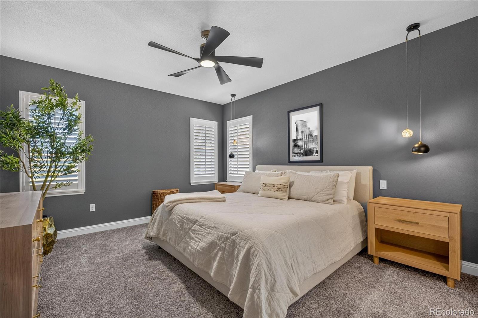 MLS Image #8 for 553 s 22nd avenue,brighton, Colorado