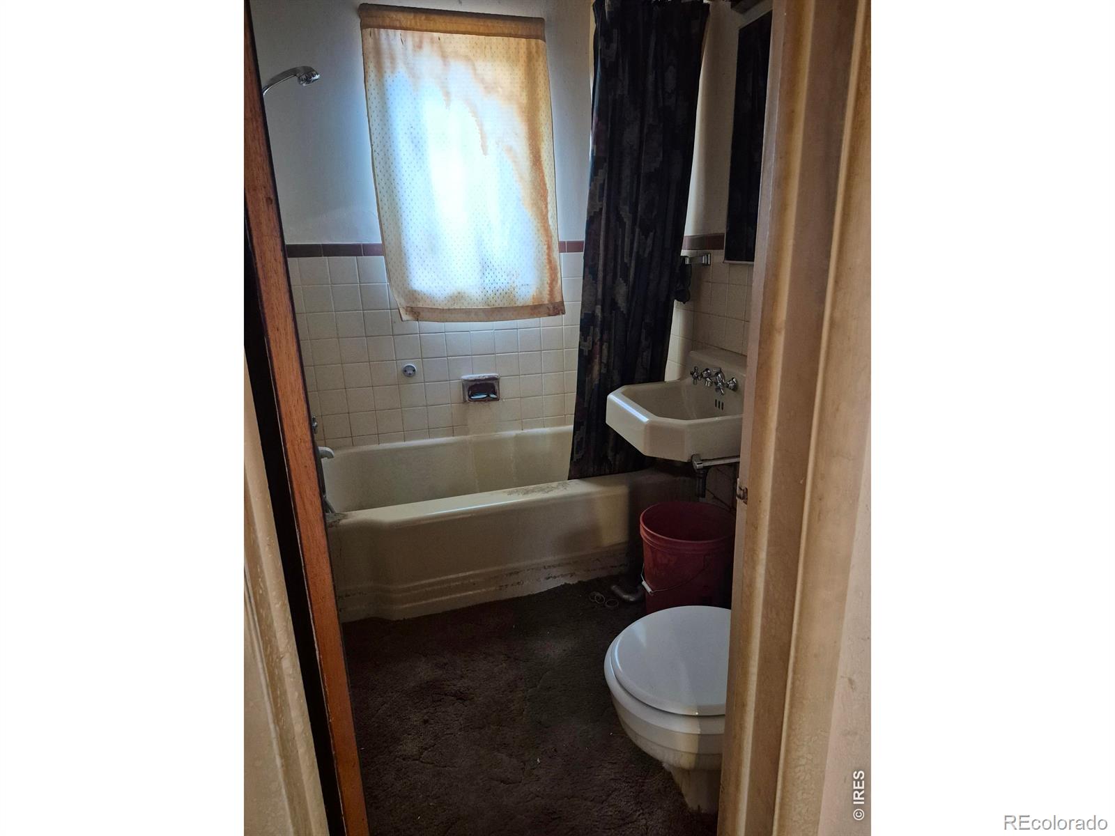 MLS Image #3 for 930  emery street,longmont, Colorado