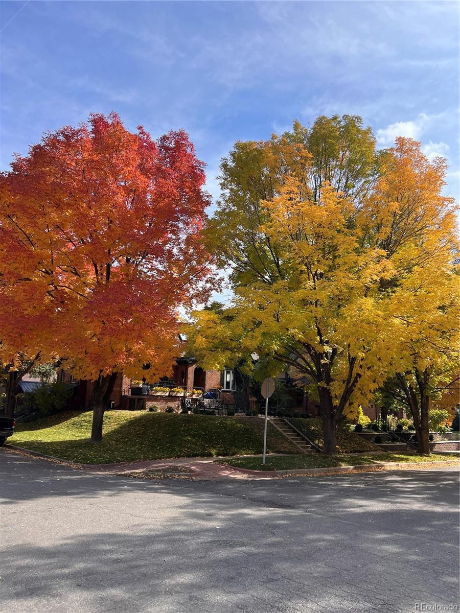 MLS Image #22 for 1400 s vine street,denver, Colorado