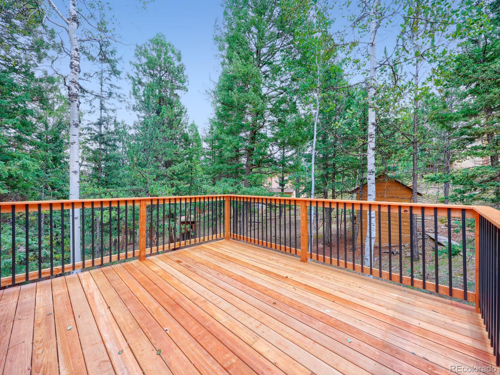 MLS Image #18 for 44  anderson road,florissant, Colorado