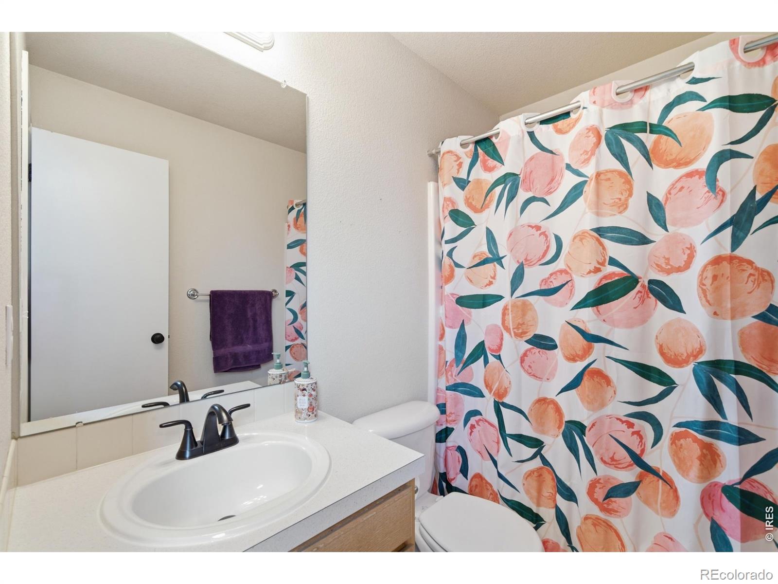 MLS Image #20 for 725 e 4th st rd,eaton, Colorado