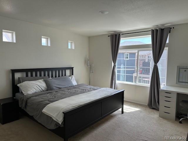 MLS Image #13 for 200 s oak hill street,aurora, Colorado
