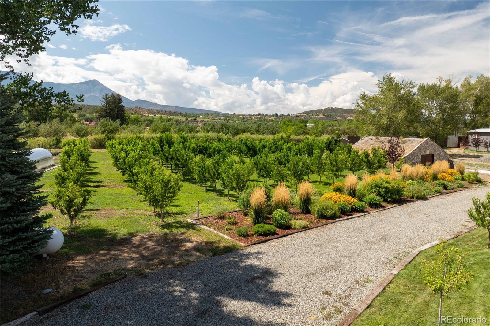 MLS Image #13 for 15805  black bridge road,paonia, Colorado