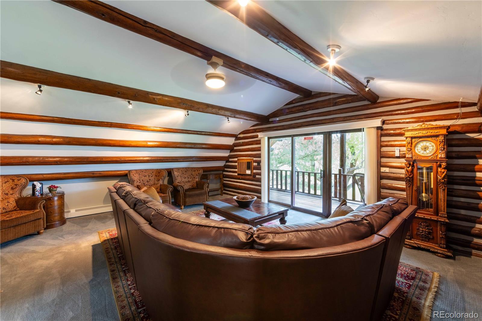 MLS Image #22 for 15805  black bridge road,paonia, Colorado
