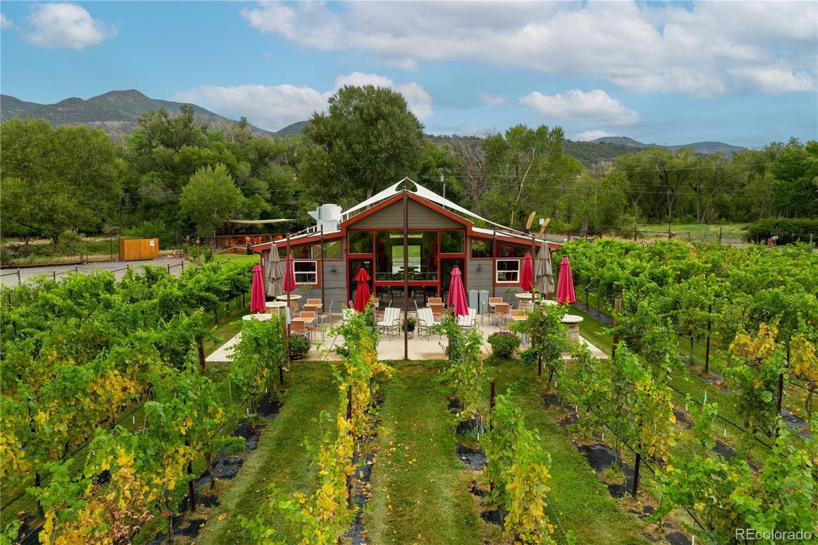 MLS Image #4 for 15805  black bridge road,paonia, Colorado