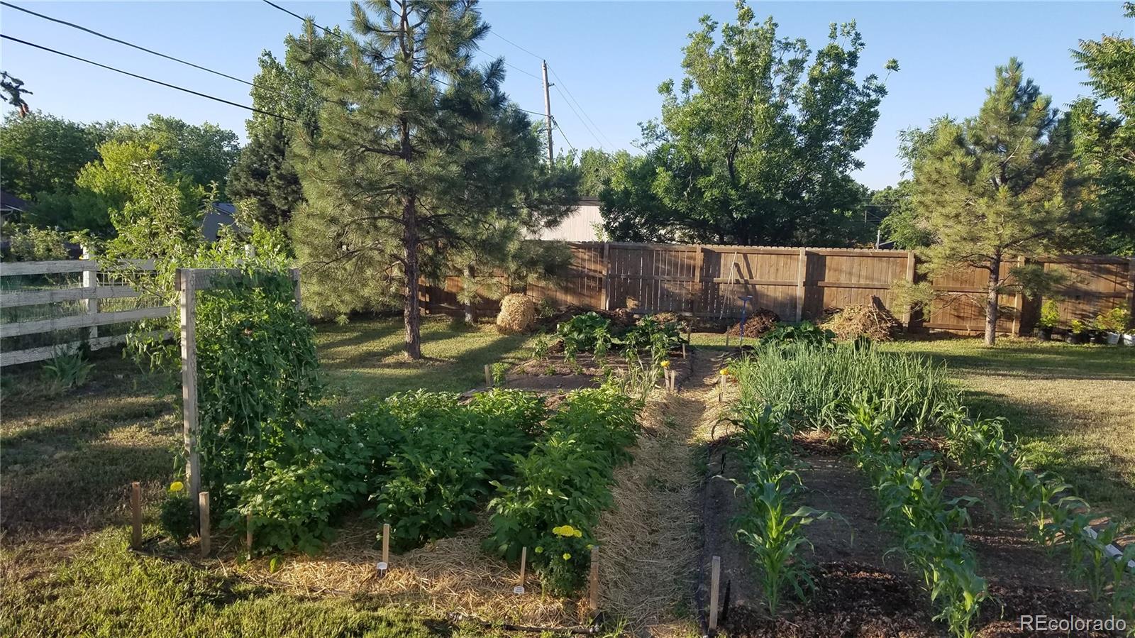 MLS Image #45 for 2080  robb street,lakewood, Colorado