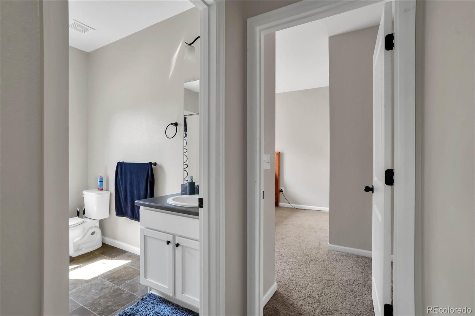 MLS Image #17 for 2303  coyote creek drive,fort lupton, Colorado