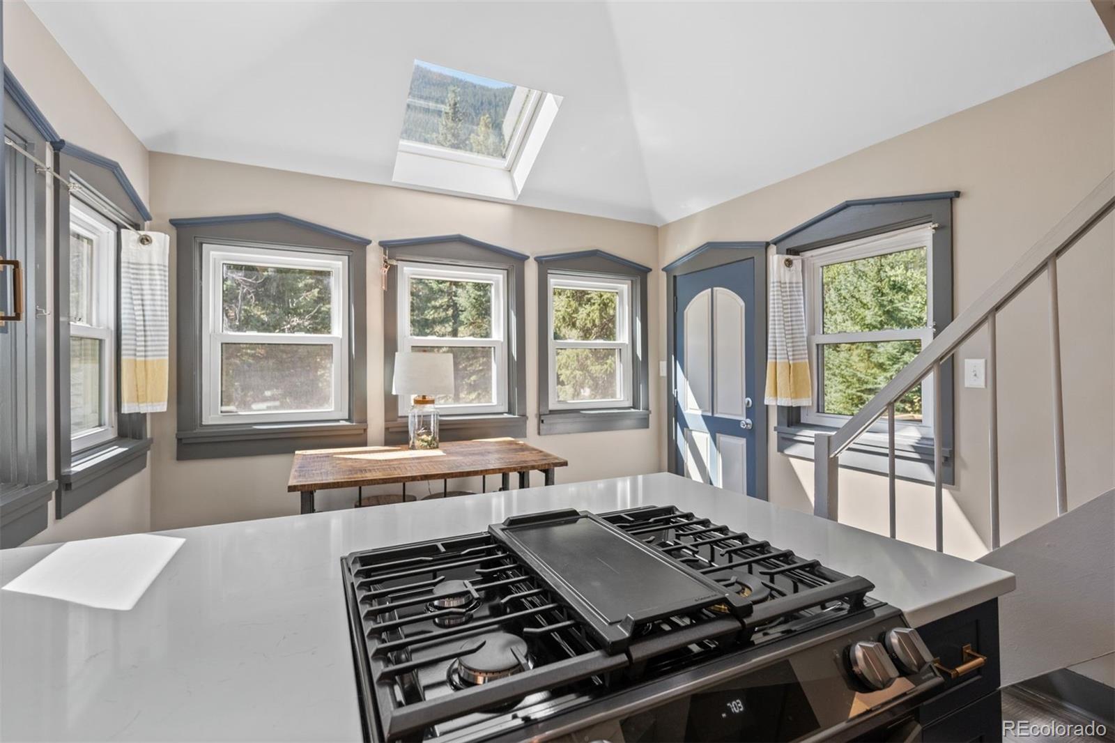 MLS Image #13 for 290  main street,silver plume, Colorado