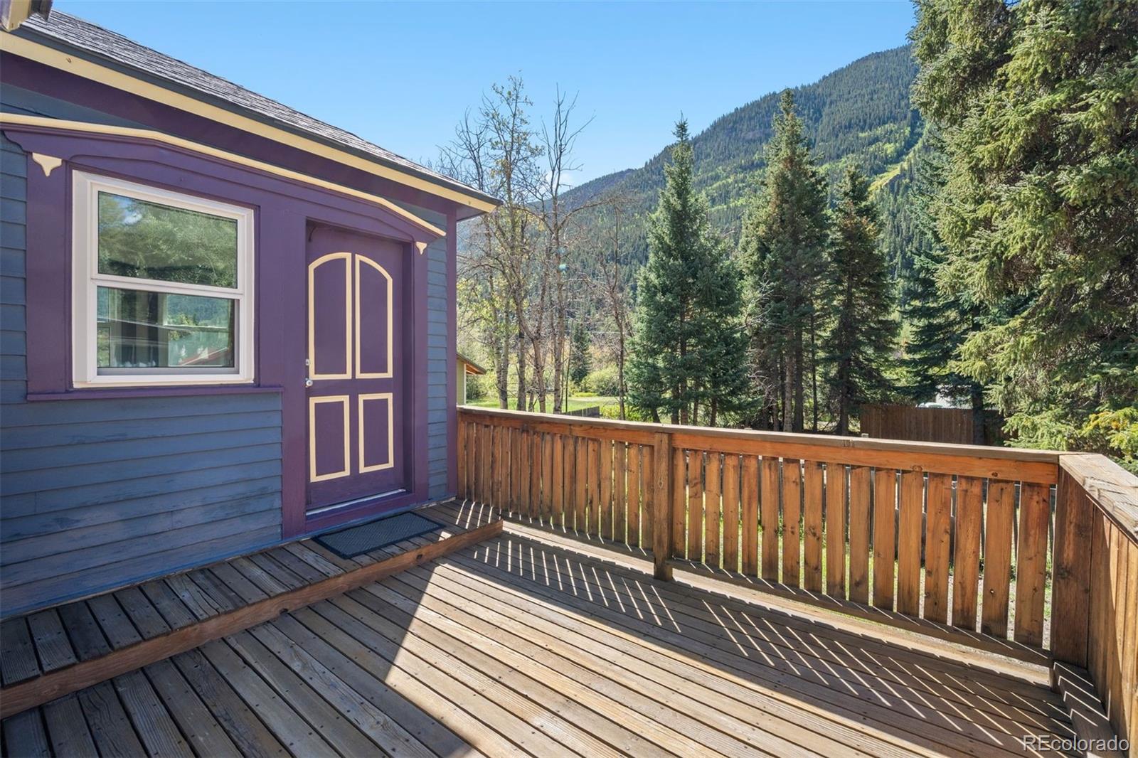 MLS Image #27 for 290  main street,silver plume, Colorado